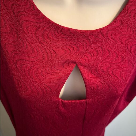 Danny and Nicole red dress size 10 - Picture 4 of 9